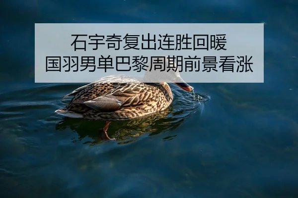 石宇奇复出连胜回暖 国羽男单巴黎周期前景看涨